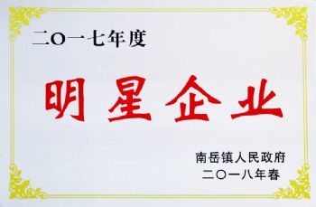  2017年度明星企業(yè)