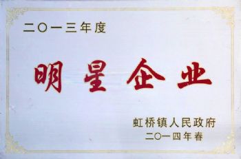  2013年度明星企業(yè)